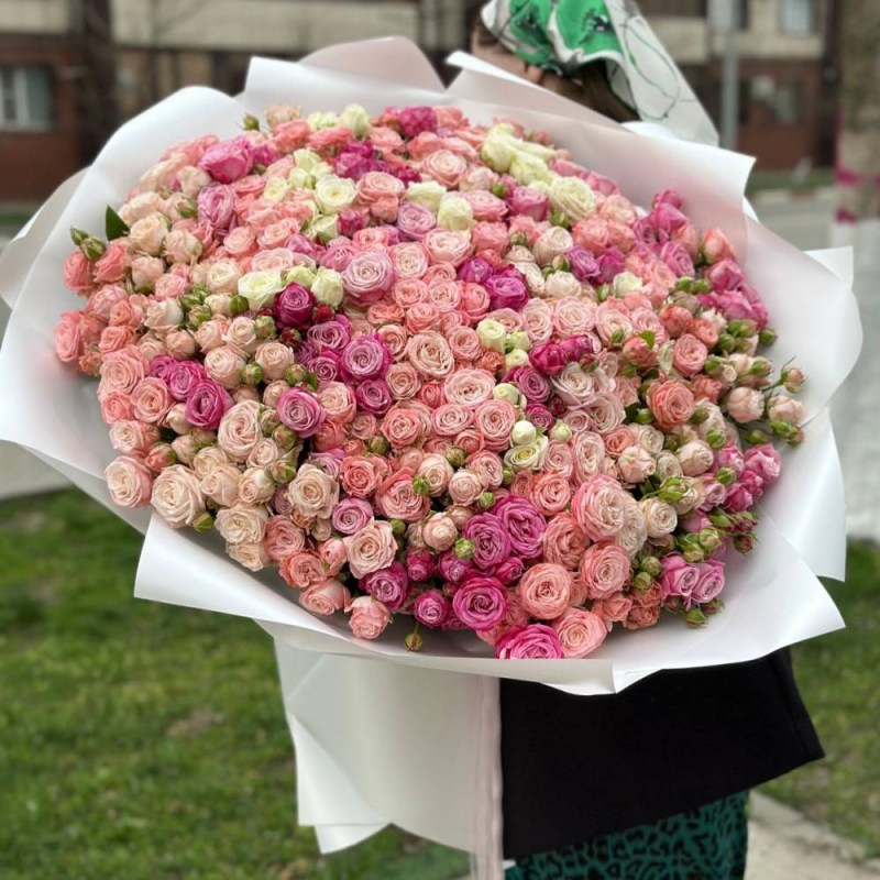 Нет заданного изображения 
